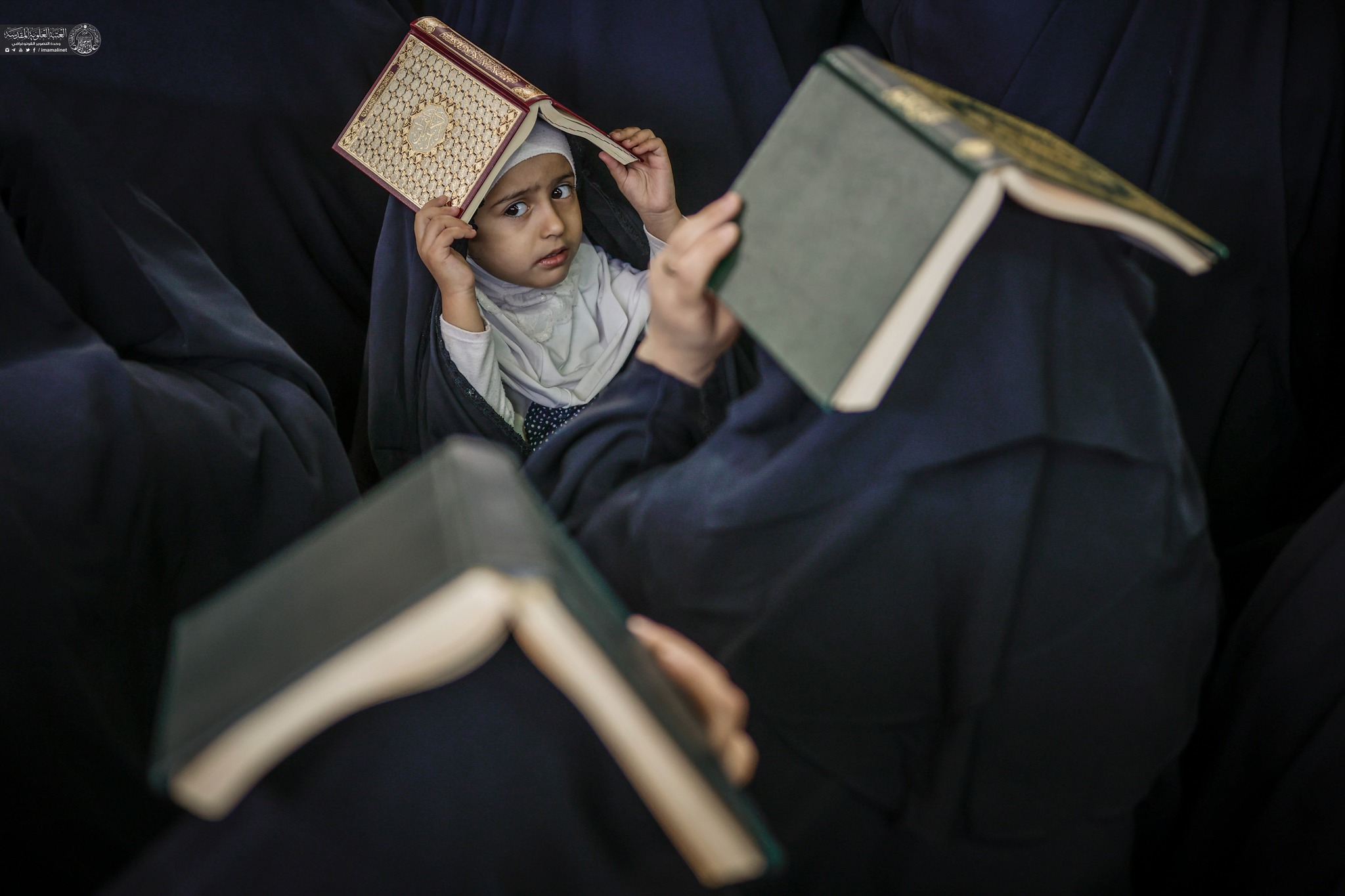 İmam Əli (ə) hərəmində 3-cü Qədr gecəsi - FOTO