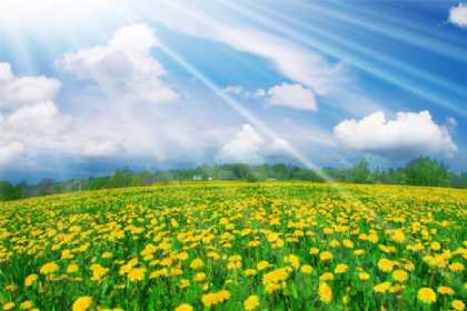 Aprelin ilk gününün HAVA POQNOZU