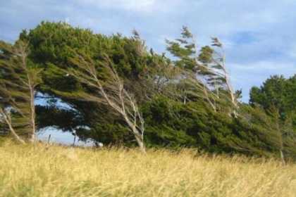 Sabah güclü külək əsəcək