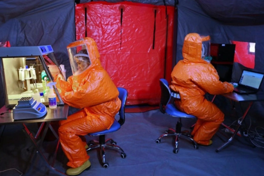 Azərbaycanda quş qripinə yoluxma aşkarlanıb? - RƏSMİ AÇIQLAMA