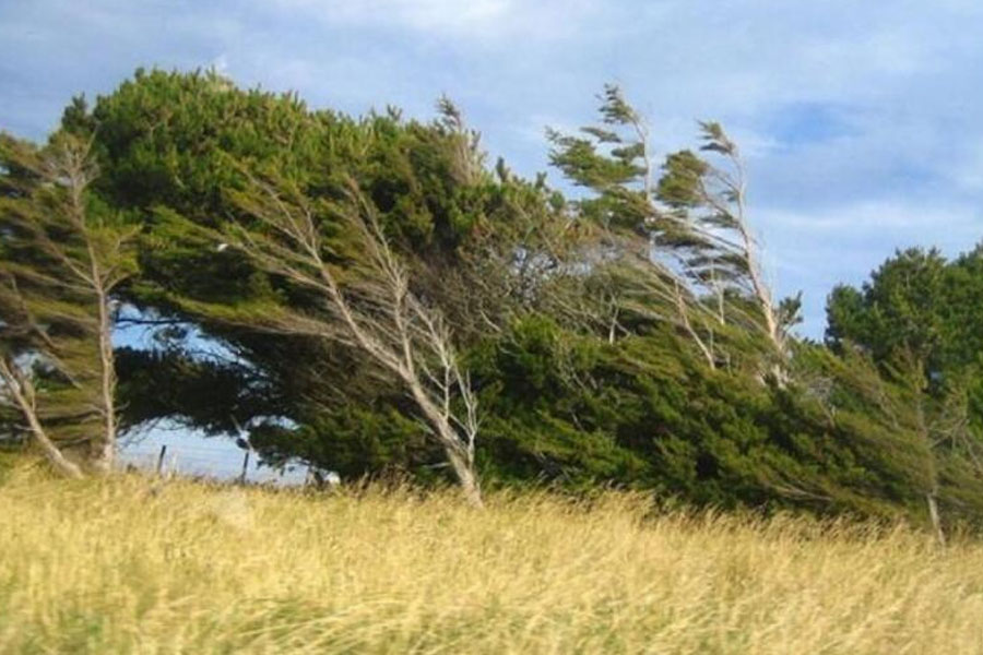 Sabah güclü külək əsəcək