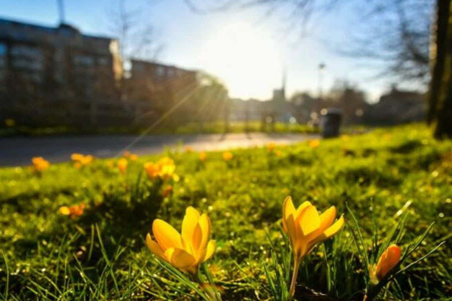 Şənbə gününün HAVA PROQNOZU